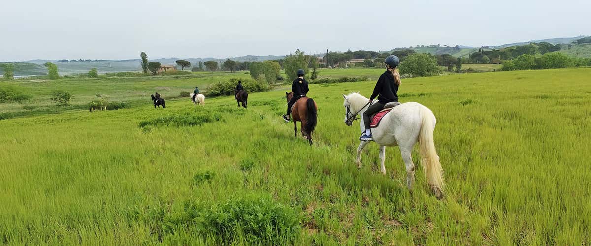 1.5-hour horseback ride in the Crete Senesi area