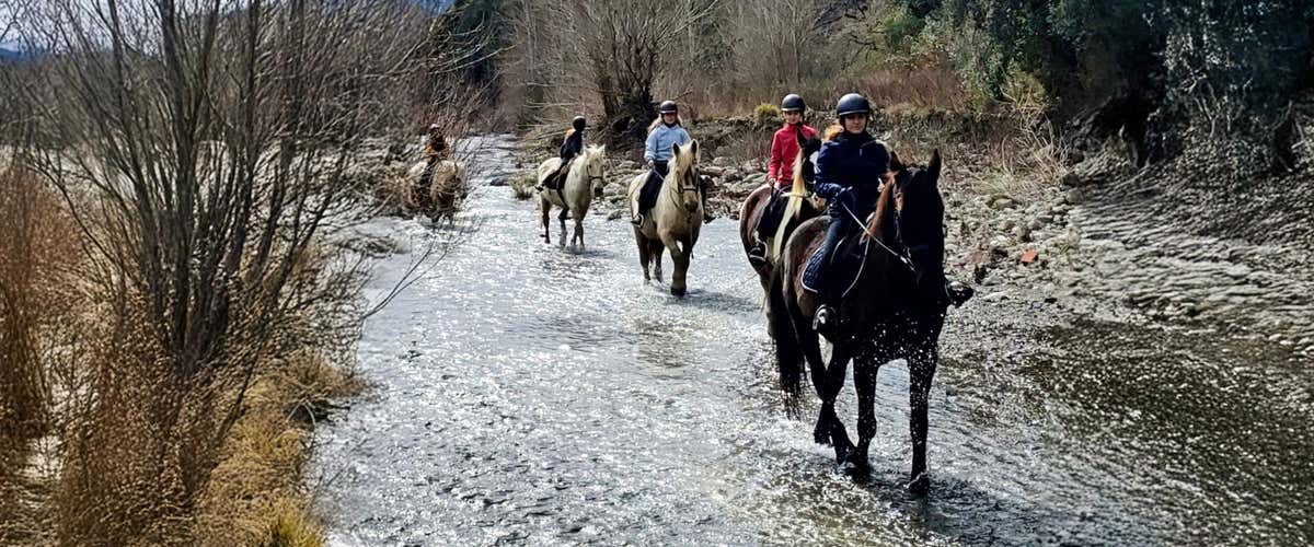 Passeggiata a cavallo di 2 ore lungo il torrente Crevole in provincia di Siena