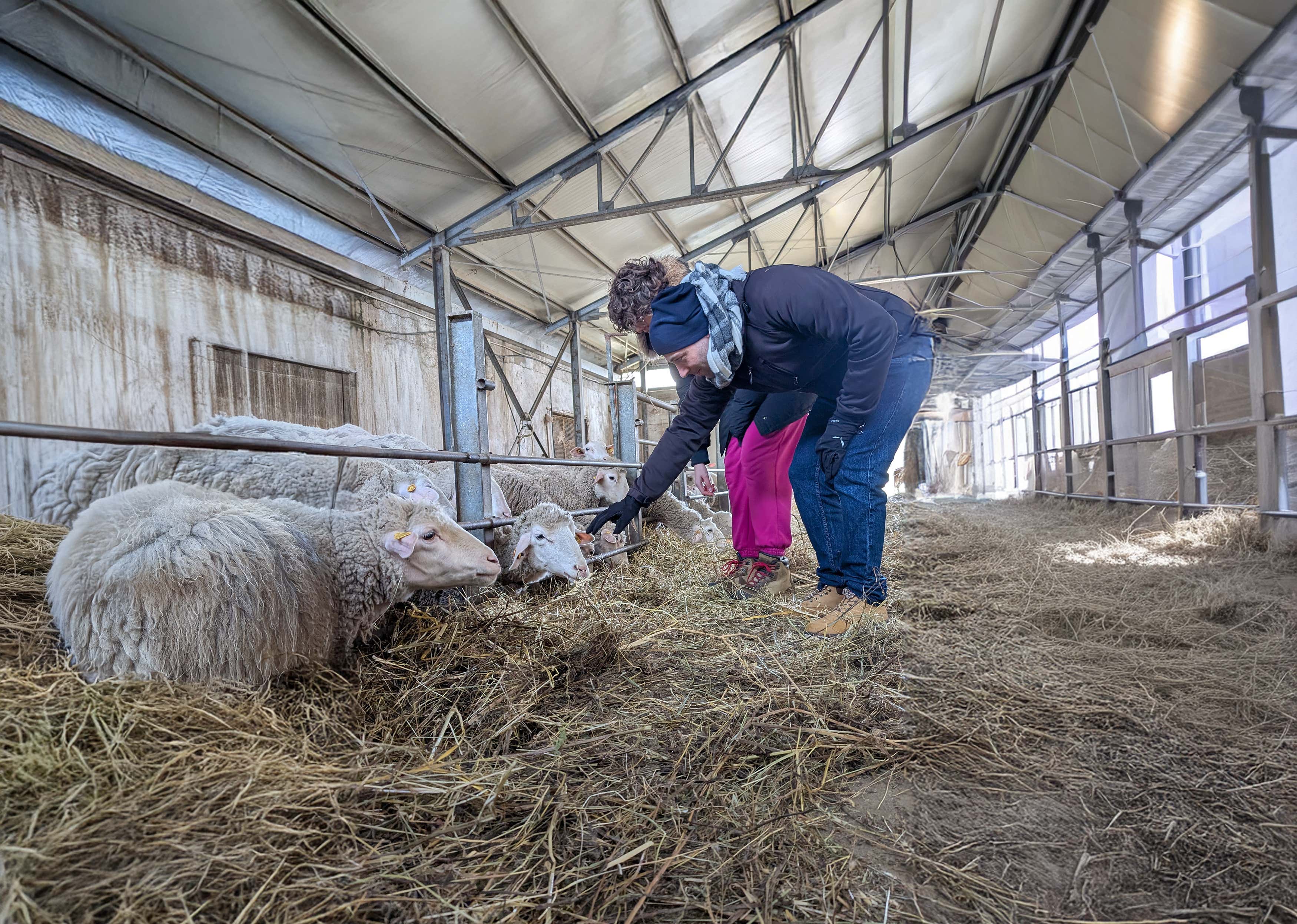 Giornata da casaro in agriturismo e pranzo in provincia di Chieti