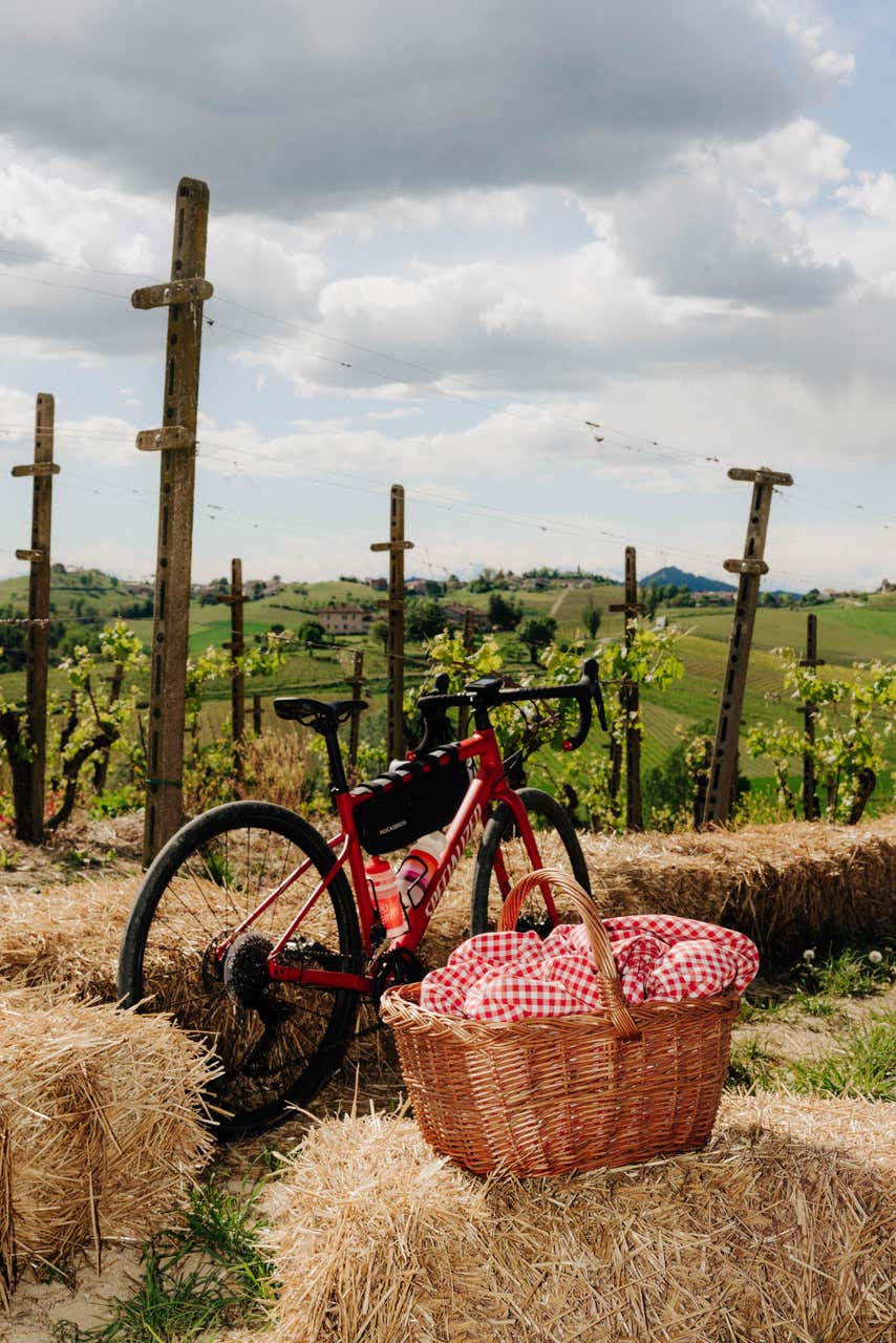 Noleggio e-bike con pic-nic e visita di una cantina "Infernot" nel Monferrato