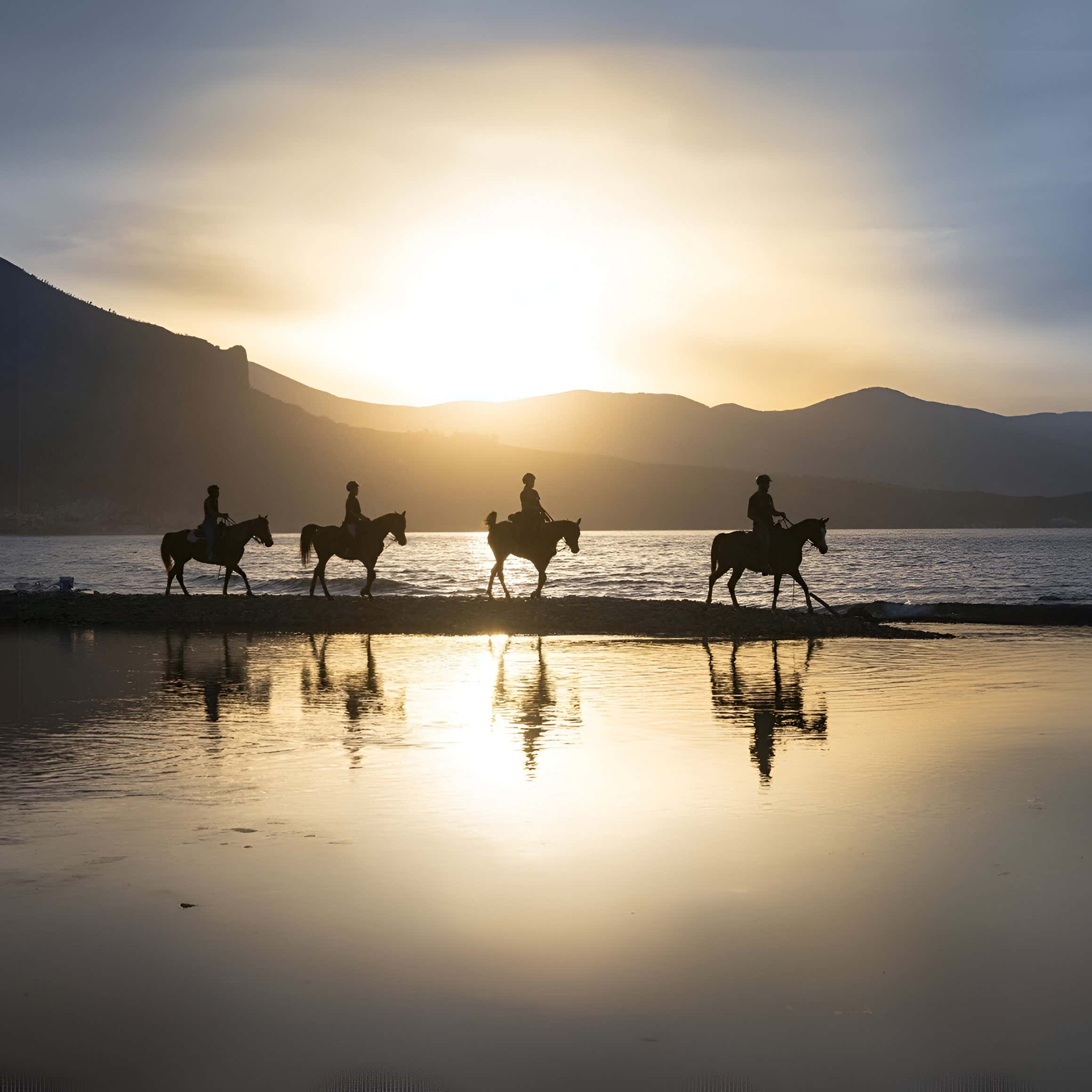 passeggiata a cavallo sulla spiaggia