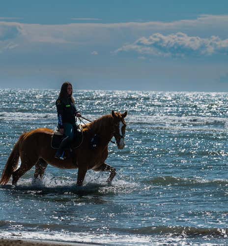 Horseback riding on the beach in Caorle