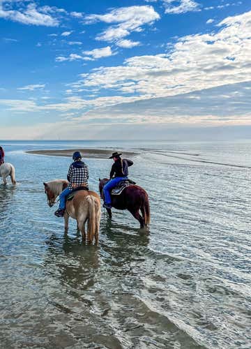 Horseback riding on the beach in Caorle