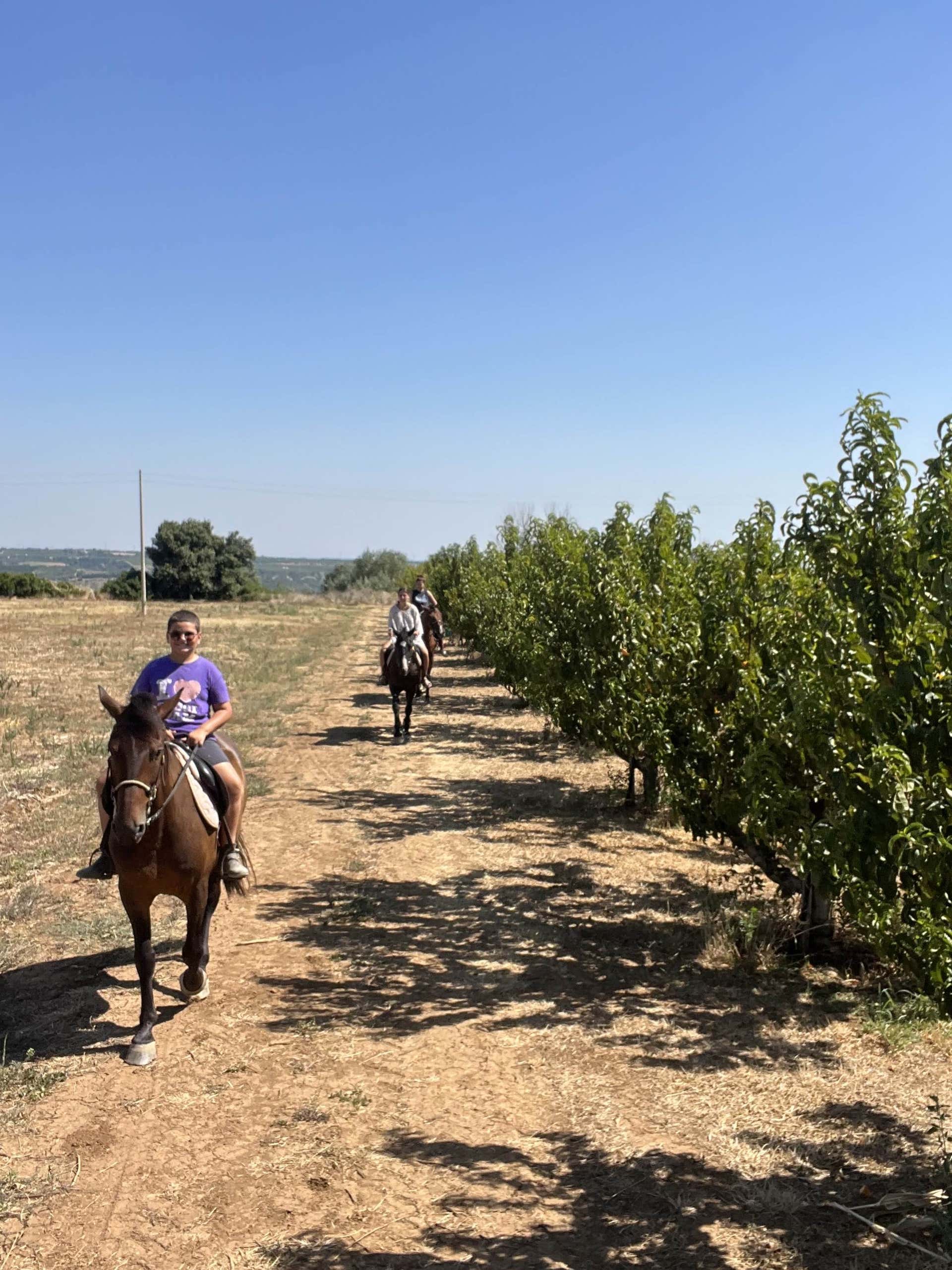 Passeggiate a cavallo Policoro