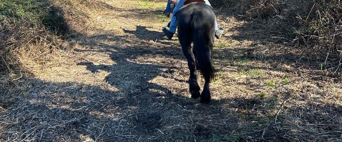 Passeggiata a cavallo nella Riserva Naturale del Lago di Porta e aperitivo