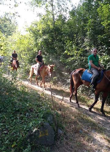 Giro a cavallo con aperitivo al Parco dei Laghi di Avigliana