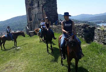 Passeggiata a Cavallo nel Parco dei Laghi di Avigliana