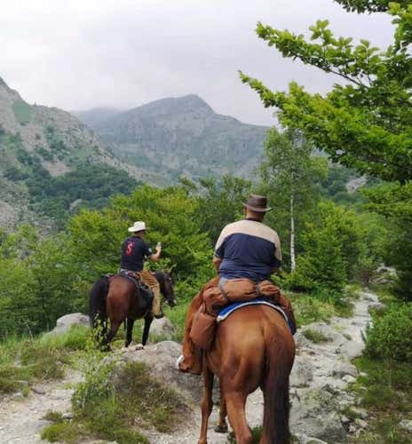 Passeggiata a Cavallo nel Parco dei Laghi di Avigliana