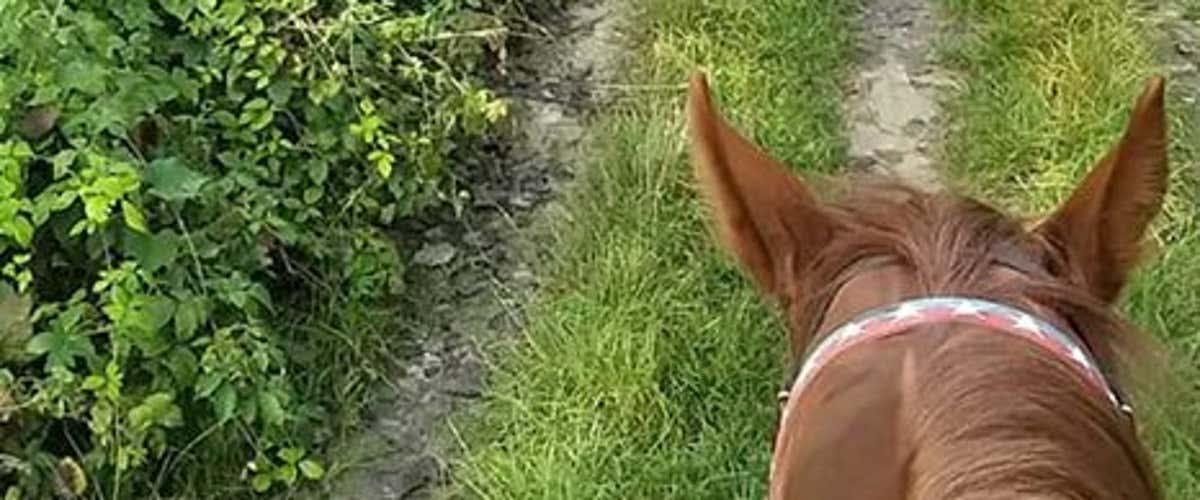 Horse riding to the Sacra di San Michele in the Susa Valley (TO)