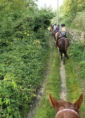 Horse riding to the Sacra di San Michele in the Susa Valley (TO)