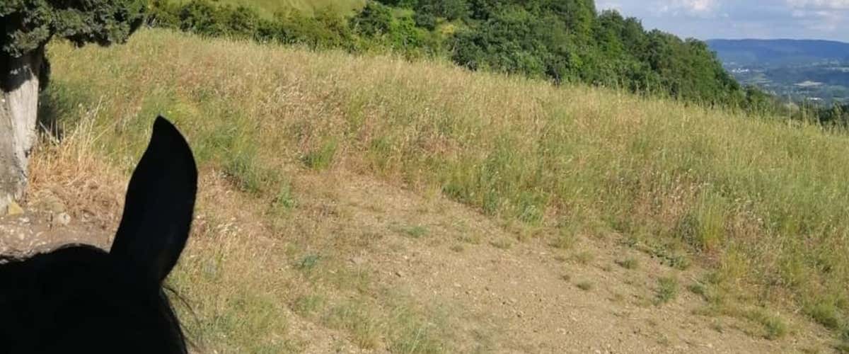 Passeggiata a cavallo al Castello di Romena con brunch