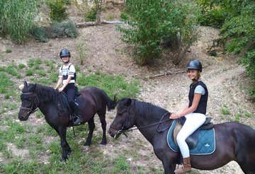 Passeggiata a cavallo privata a Cupra Marittima e aperitivo