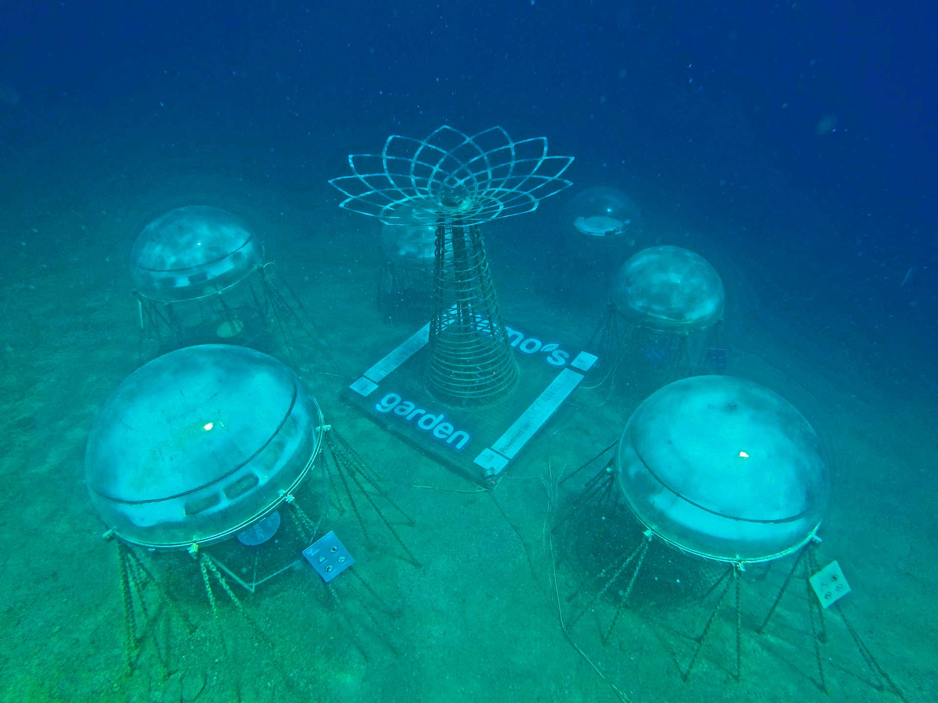Snorkeling Bergeggi