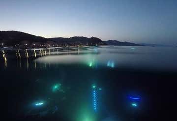 Snorkeling guidato al Nemo’s Garden di Noli