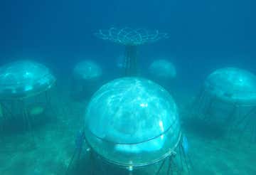 Snorkeling guidato al Nemo’s Garden di Noli