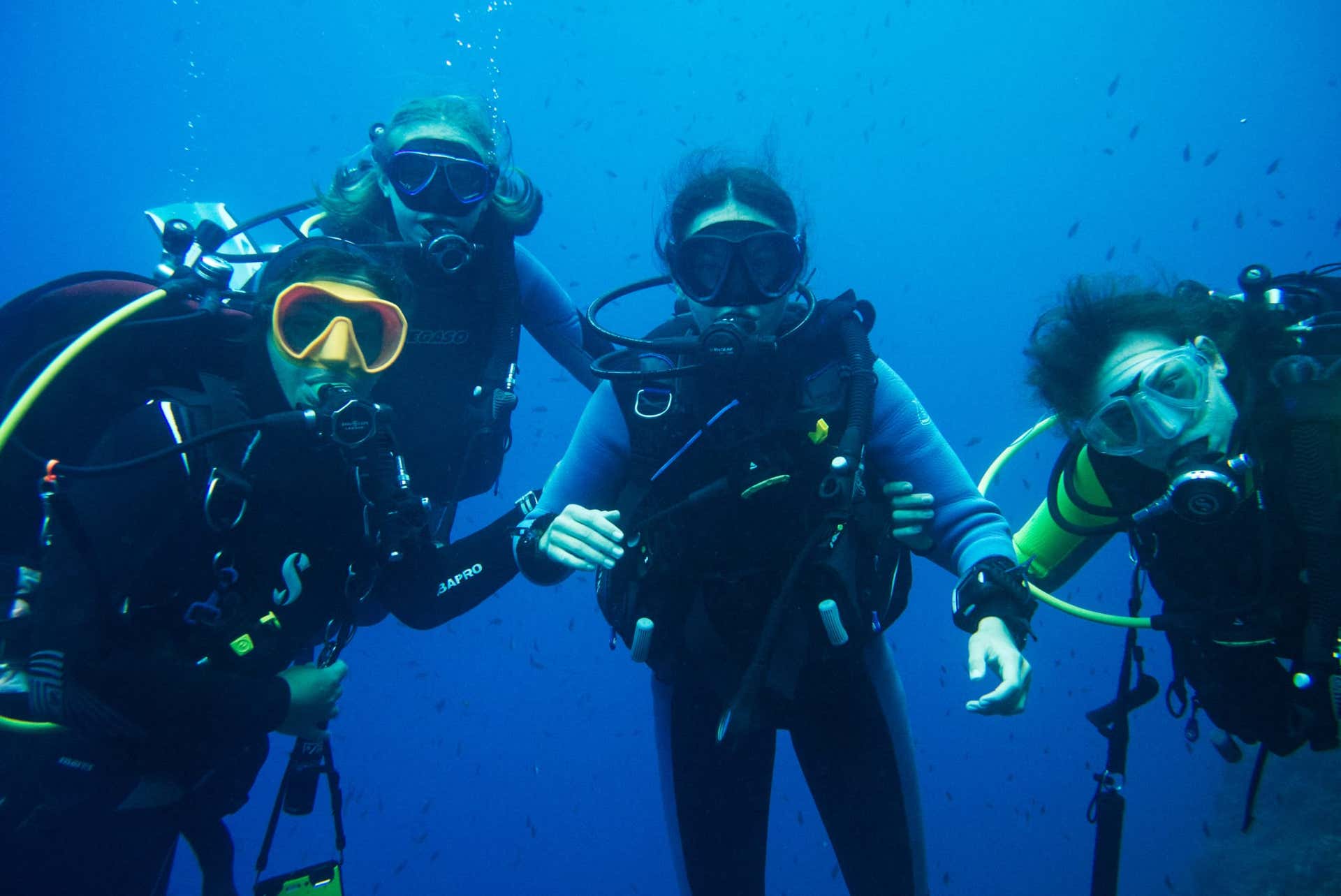 Immersioni subacquee Sorrento