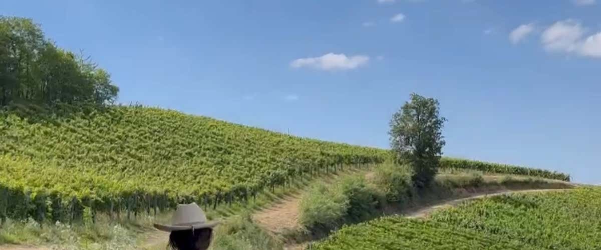 Horseback riding in the hills of Alto Monferrato