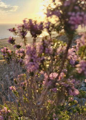 4x4 tour to Capo Bianco in the province of Agrigento