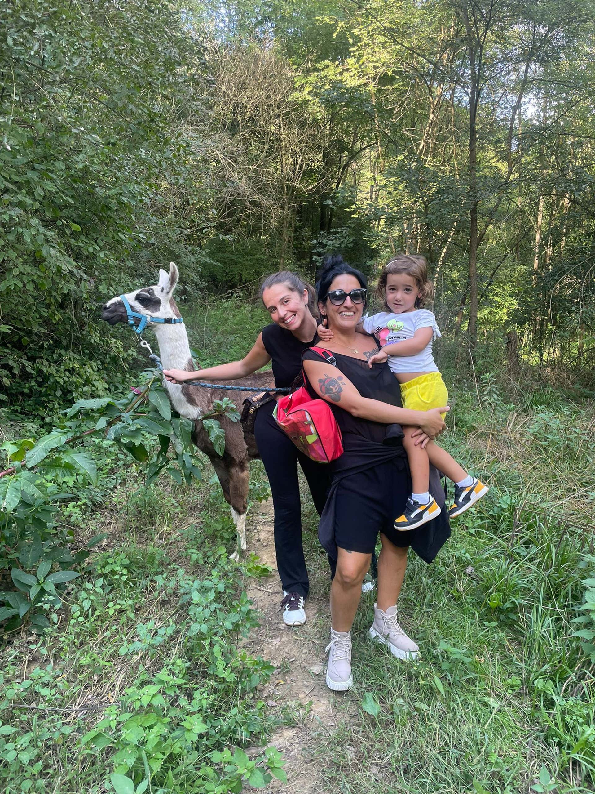 Passeggiate con alpaca Asti