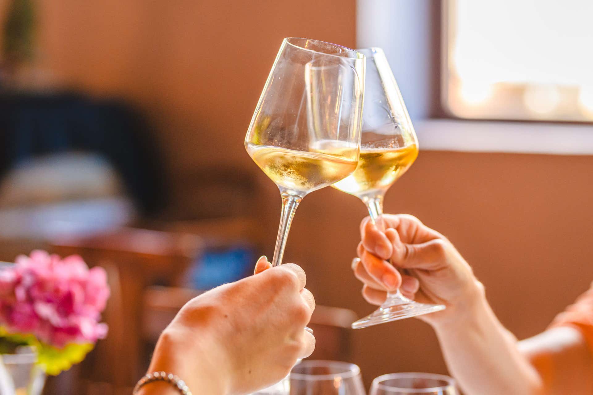Degustazione vini San Gimignano