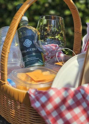 Picnic tra le vigne di San Gimignano