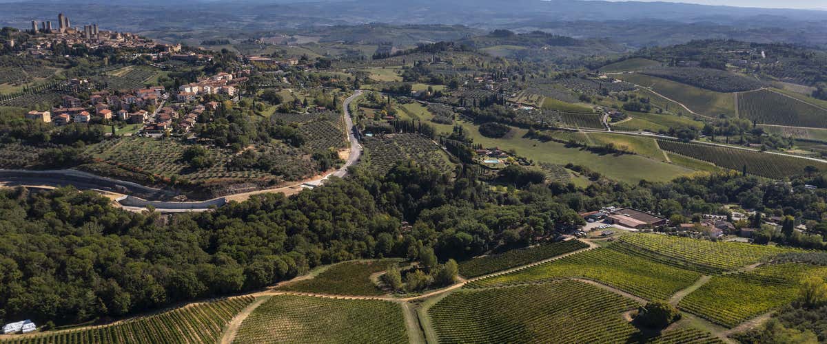 Wine tasting in a cellar in San Gimignano