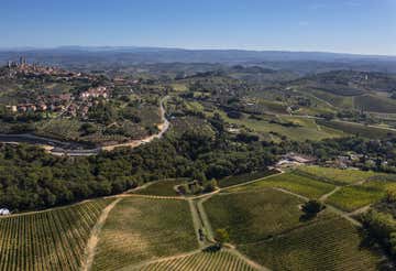 Wine tasting in a cellar in San Gimignano