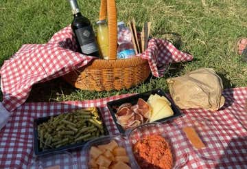 Picnic tra le vigne di San Gimignano