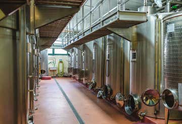 Wine tasting in a wine cellar in San Gimignano and light lunch