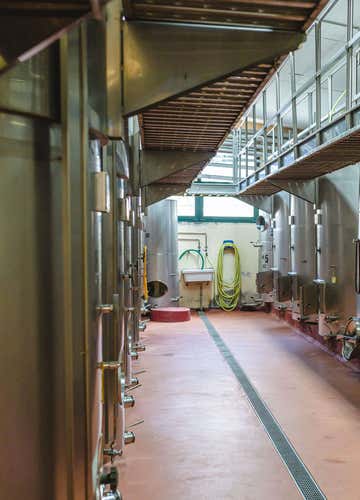 Wine tasting in a cellar in San Gimignano