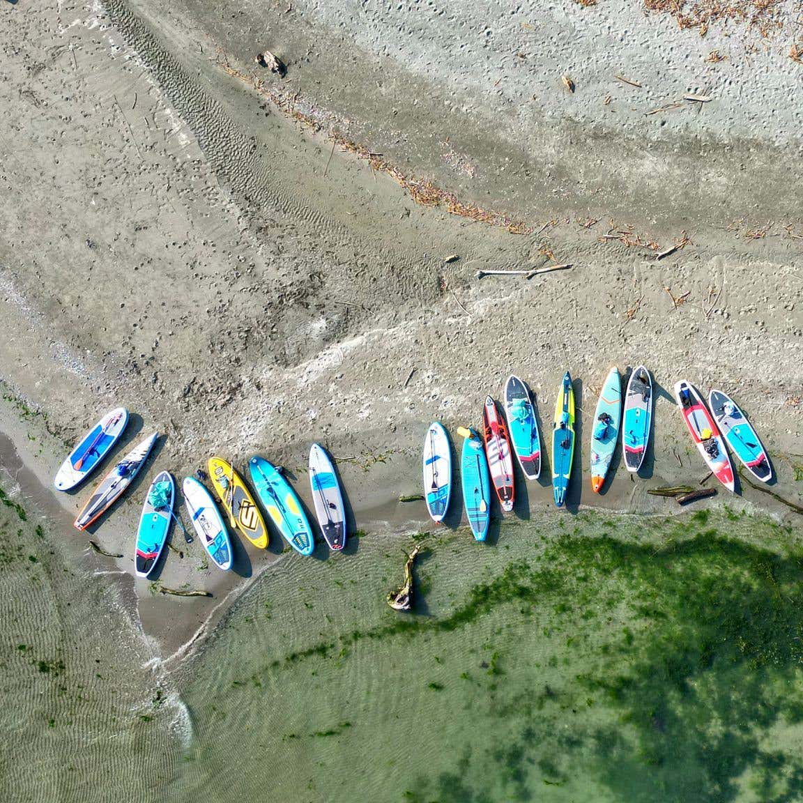 Escursione in SUP nel Delta del Po | Freedome