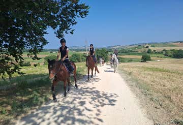 Panoramic horseback riding in the hills of Recanati