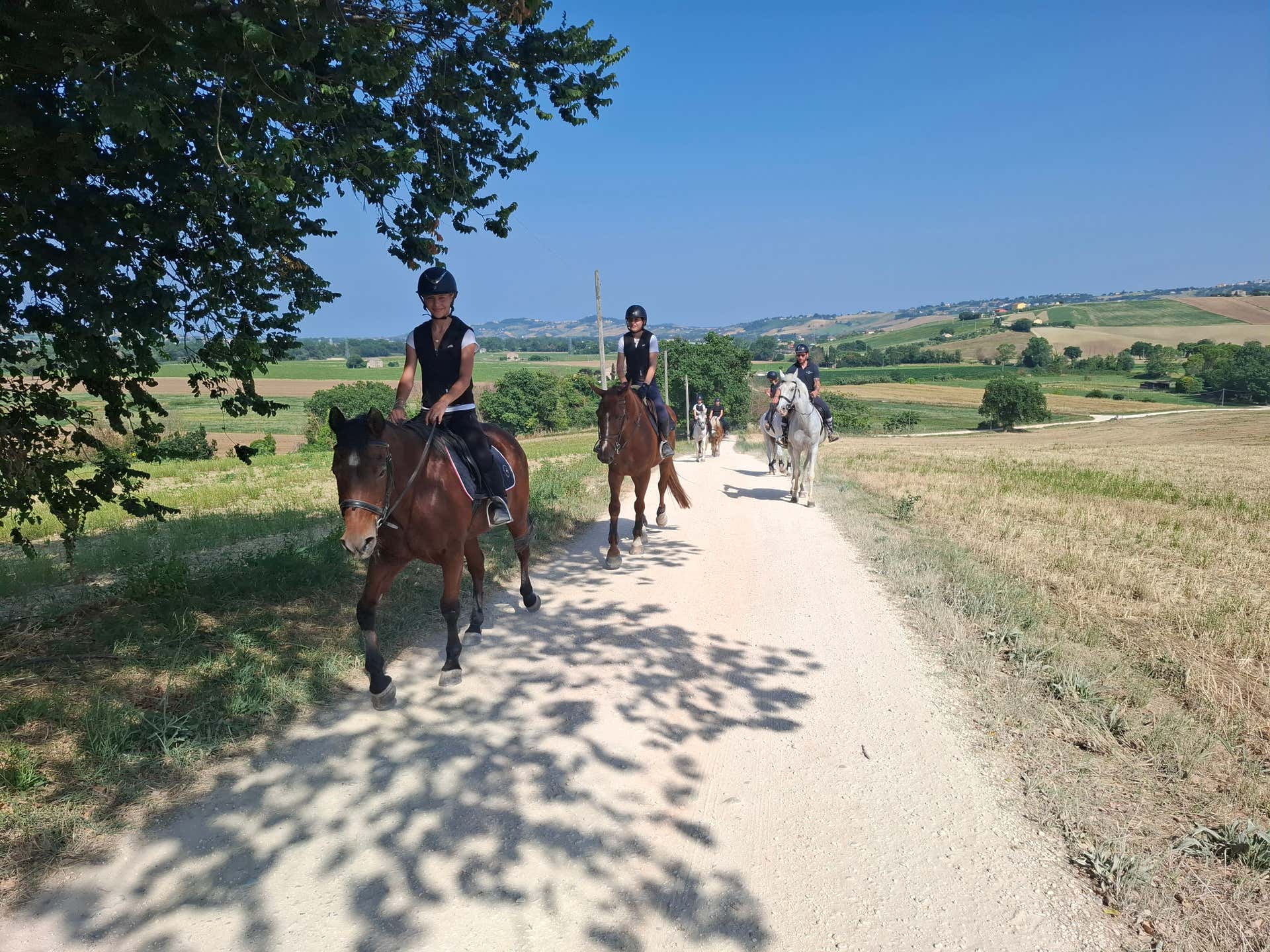 Passeggiate a cavallo Civitanova Marche