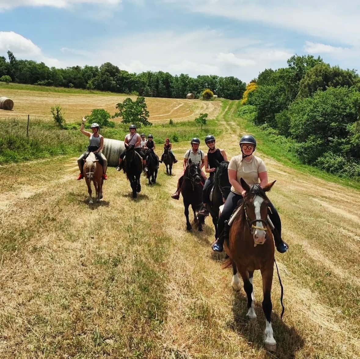 Passeggiata a cavallo sulle colline di Volterra