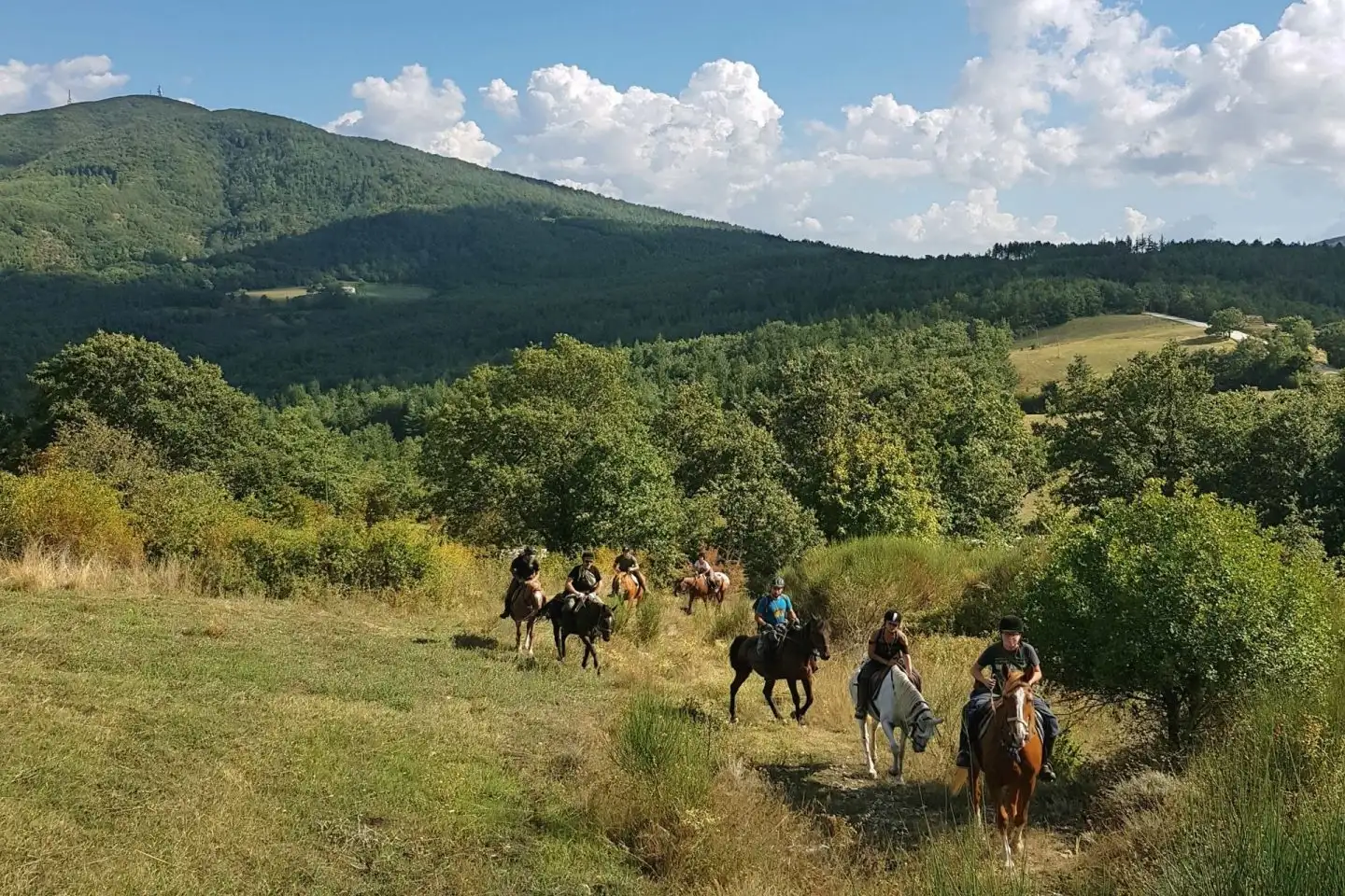 Soggiorno in hotel 3 stelle con cena e passeggiata a cavallo nell'Alta Maremma Toscana