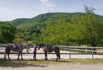 Horseback riding in the Tuscan Maremma with aperitif