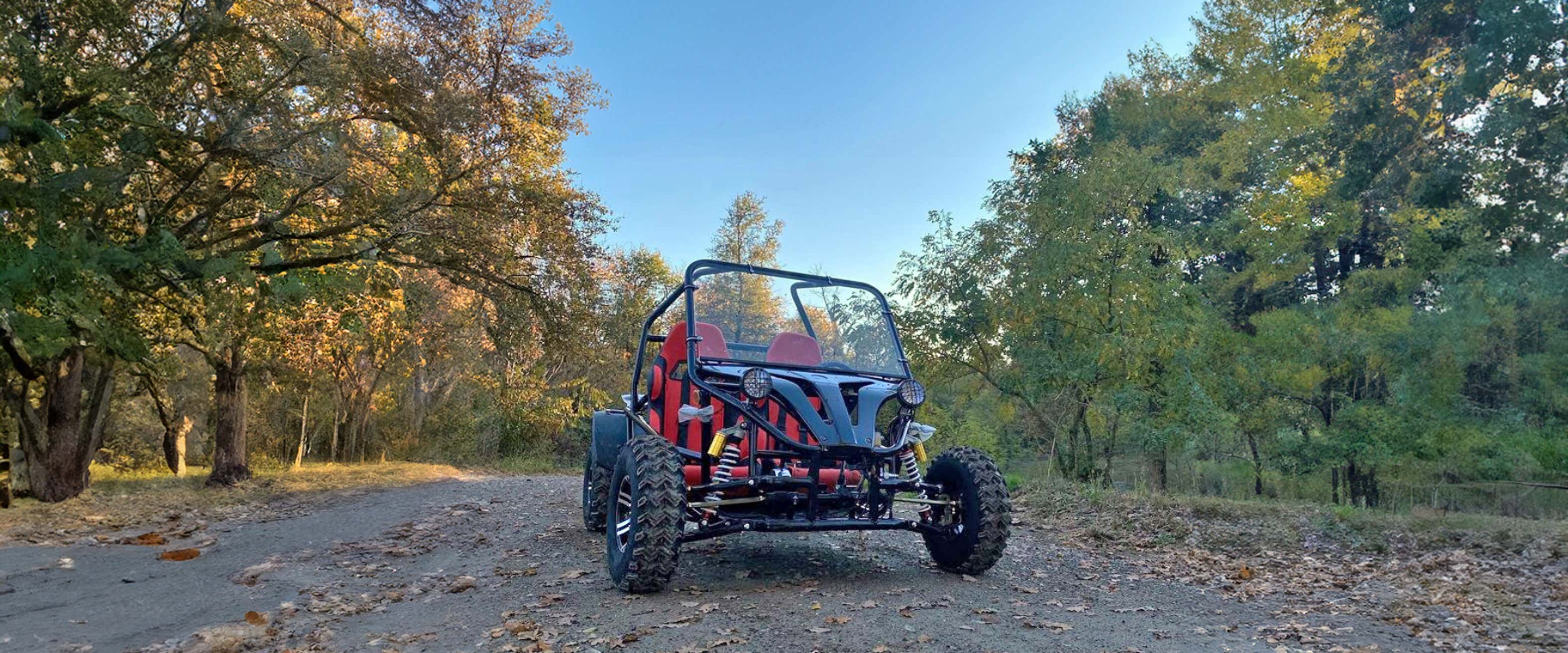 Small Buggy Mini Trail Dune Buggy - Main Image