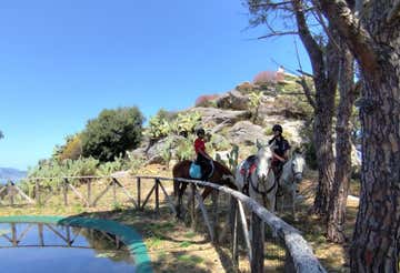 Passeggiata a cavallo panoramica in provincia di Messina