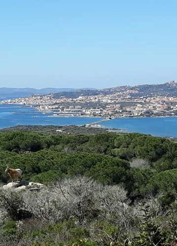 Tour in fuoristrada sul Monte Nieddu a San Teodoro