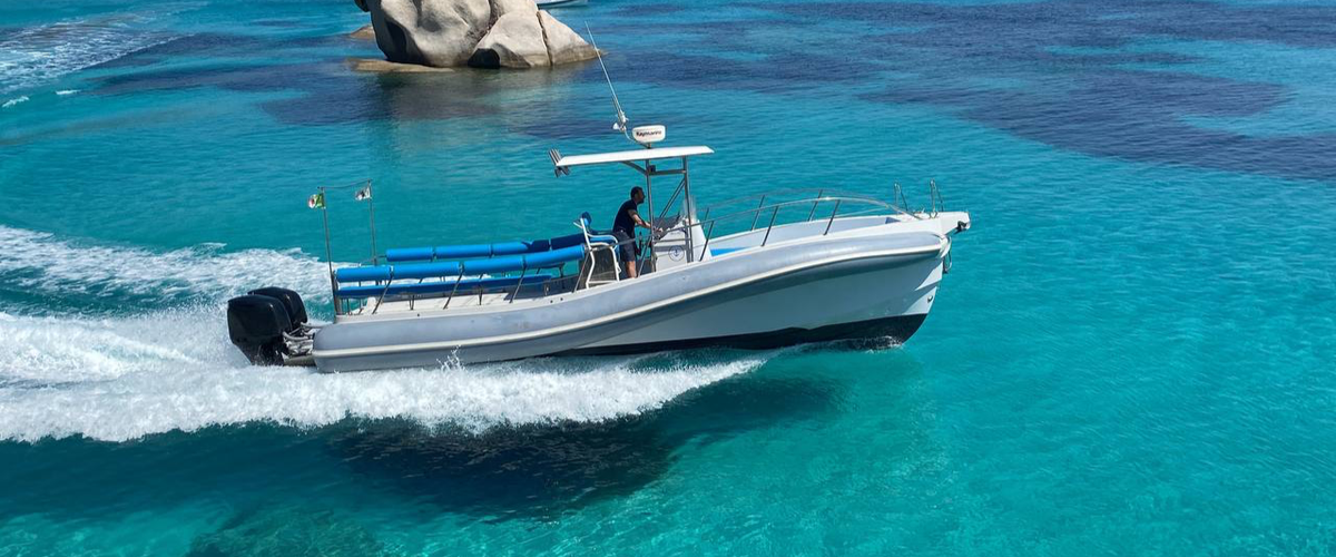Tour giornaliero in gommone in Corsica