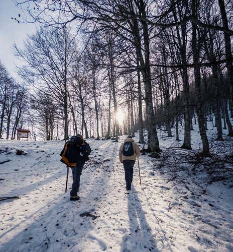 Ciaspolata nel Parco Nazionale del Pollino