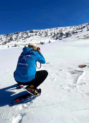 Ciaspolata nel Parco Nazionale del Pollino