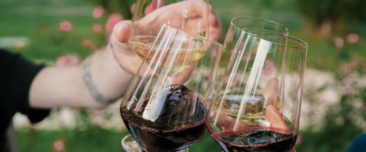 Ingresso in spa e degustazione vini sulle colline di Urbino