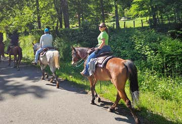 Panoramic horseback riding in the Pistoia hills