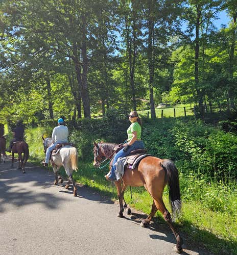 Passeggiata a cavallo panoramica sulle colline pistoiesi con aperitivo