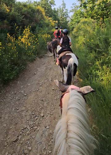 Passeggiata a cavallo panoramica sulle colline pistoiesi con aperitivo