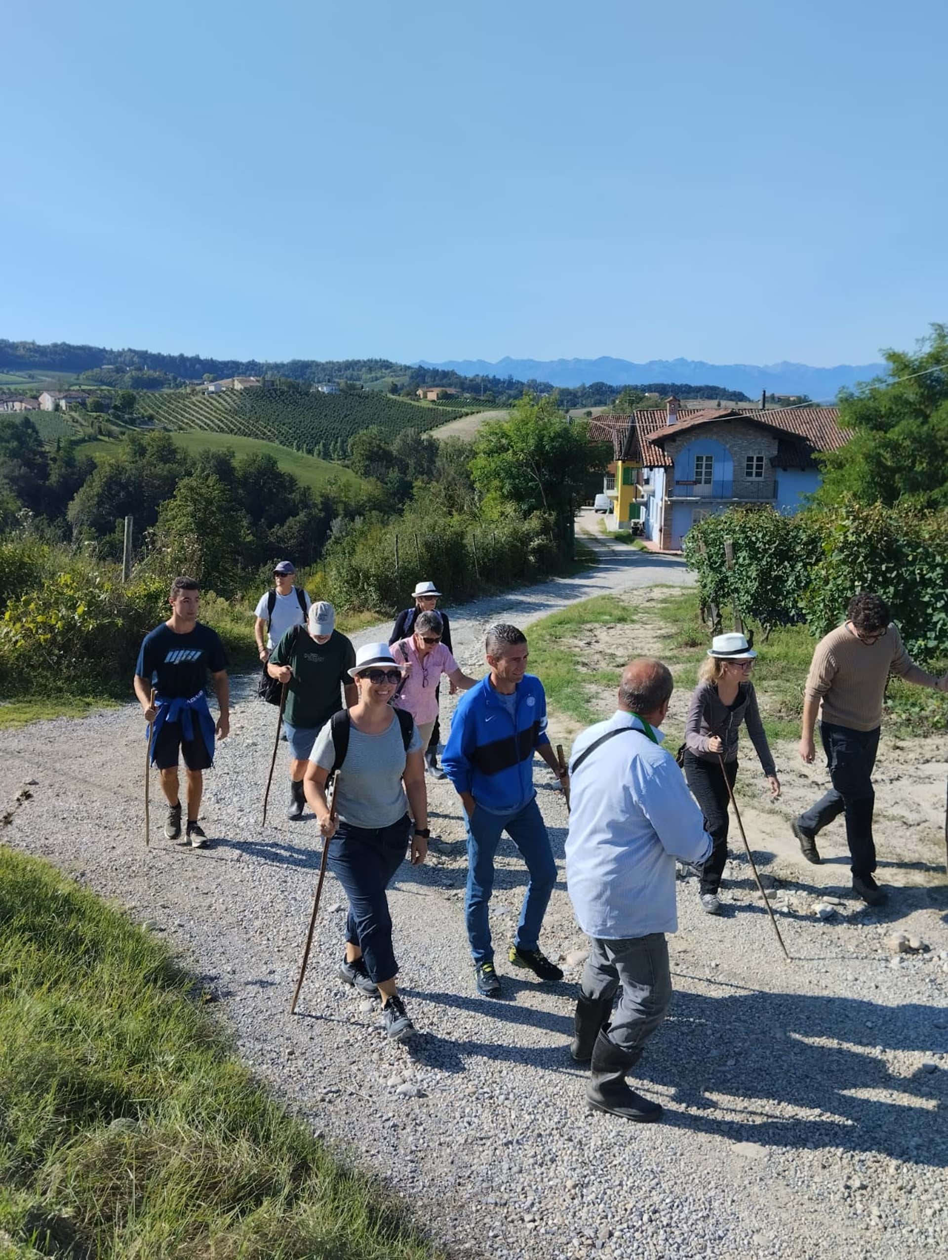 Truffle hunting Alba