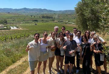 Passeggiata nell’oliveto, degustazione di olio e prodotti siciliani in provincia di Trapani