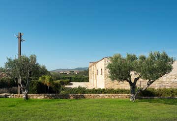 Walk in the vineyards, wine tasting and Sicilian products in the province of Trapani