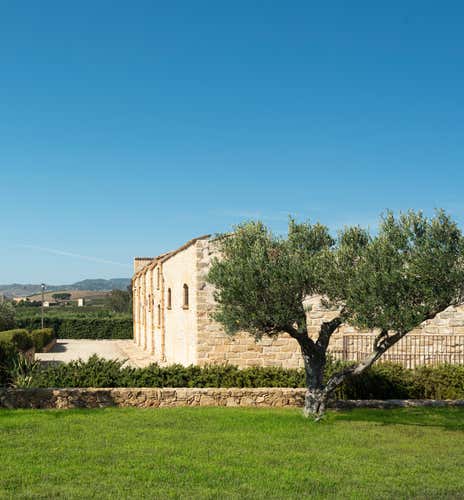 Picnic in the vineyard with Sicilian products in the province of Trapani